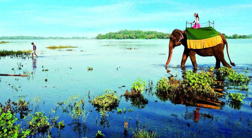 Фото 
Sun Beach House(Raymond House)
