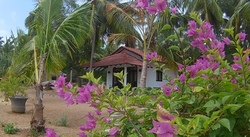 Фото 
Taru Villas - Kurumba

