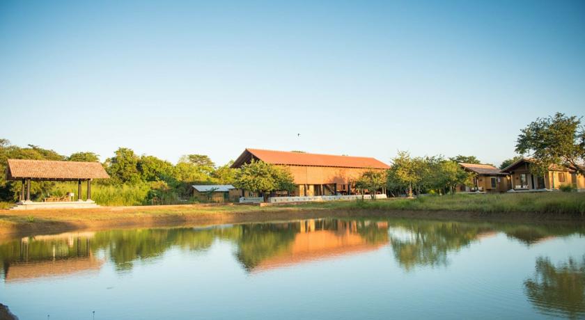 Фото 
Banana Rest
