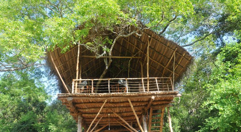 Фото 
Green Bamboo House
