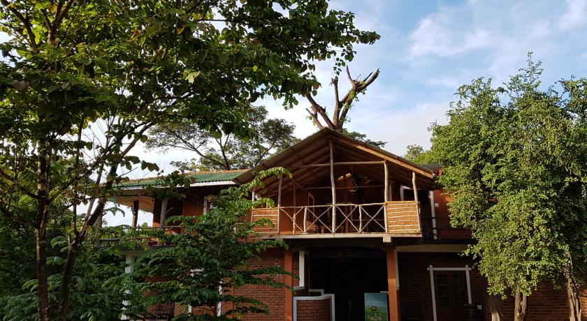 Фото 
Goddess Garden
