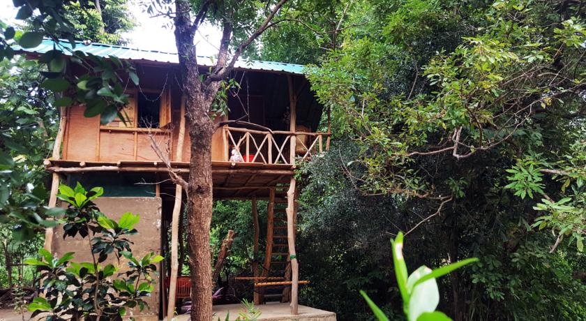 Фото 
Karu Homestay
