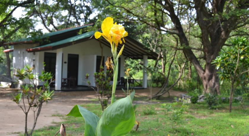Фото 
Padmini Lodge
