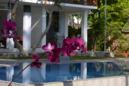 Фото 
Kavee Guest
