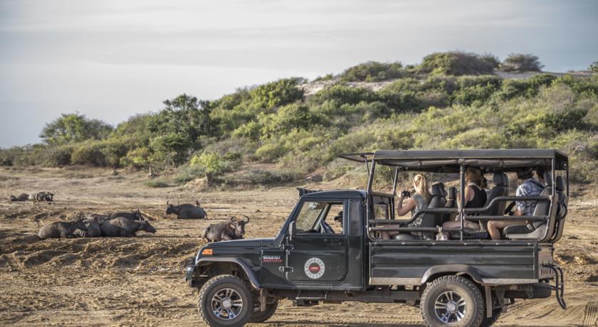 Фото 
Regina Holiday Home
