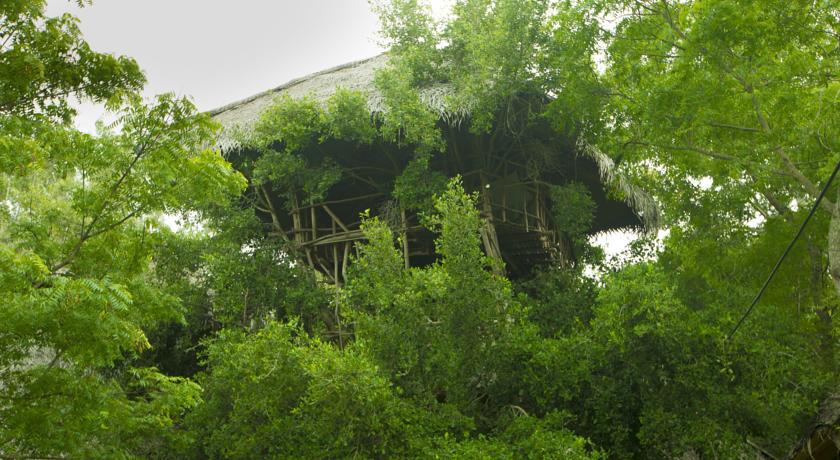 Фото 
Safari Den Tissamaharama
