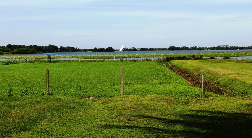 Фото 
Owin Rose Hotel
