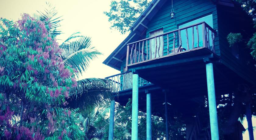 Фото 
Wapi Bungalow
