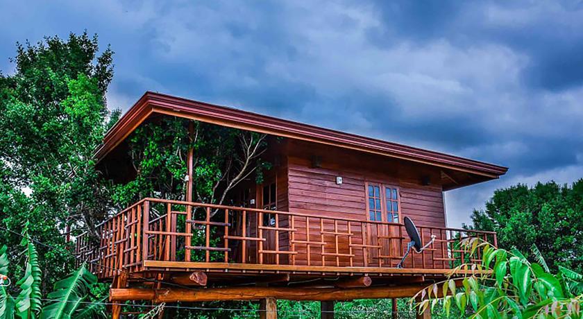 Фото 
The Wild Heaven
