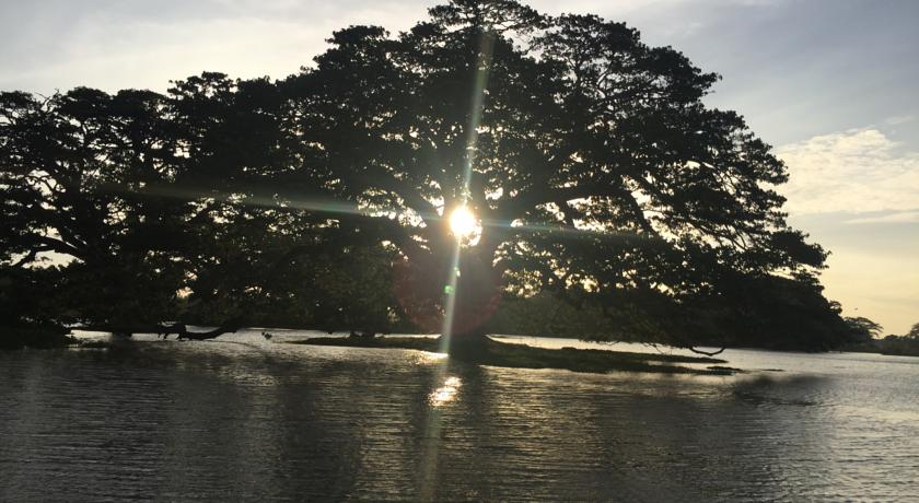 Фото 
River Side Home
