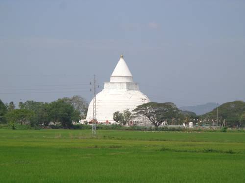 Фото 
Takeshi Inn
