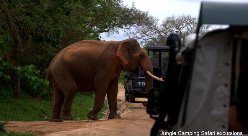 Фото 
Hotel Tinaya
