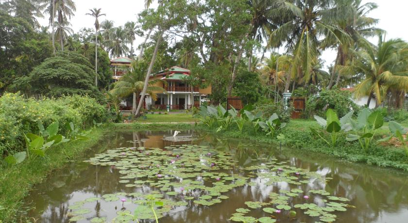 Фото 
Shan Inn Dambulla

