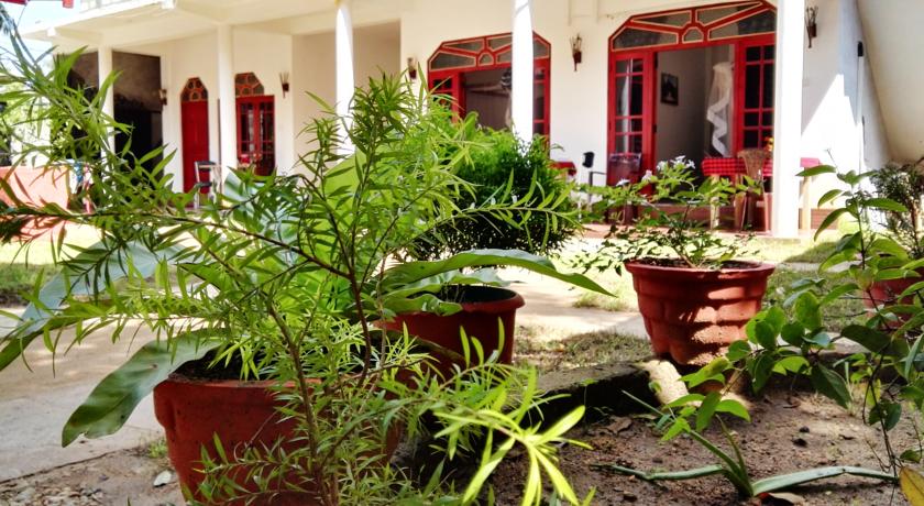 Фото 
Robert Inn Dambulla
