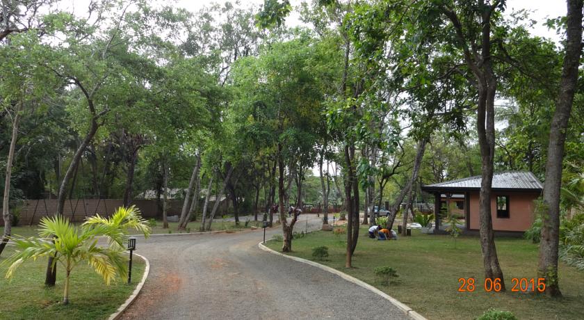 Фото 
Sunrise Hotel
