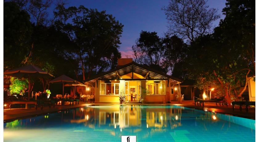 Фото 
Amila Guest
