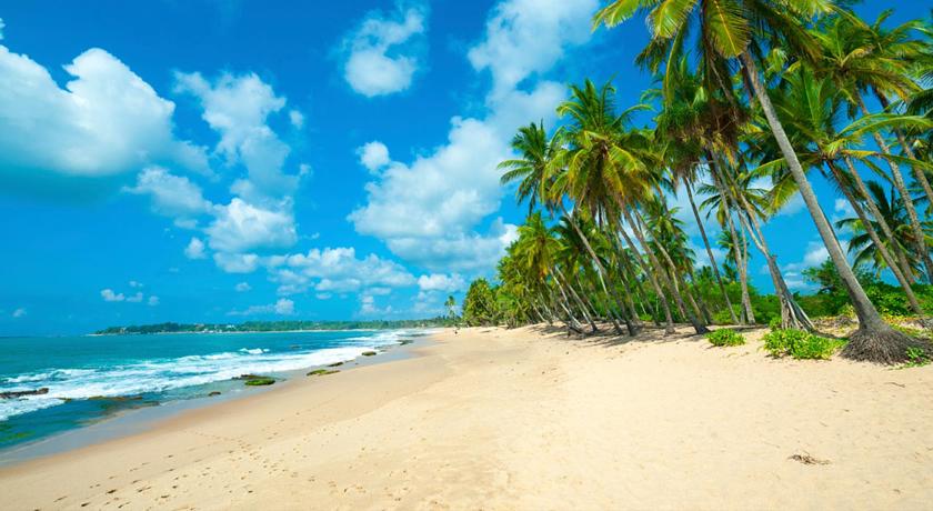 
Club Waskaduwa Beach Resort & Spa
