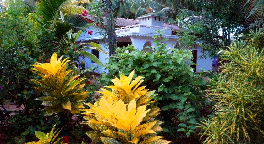 Фото 
Karl Holiday Bungalow
