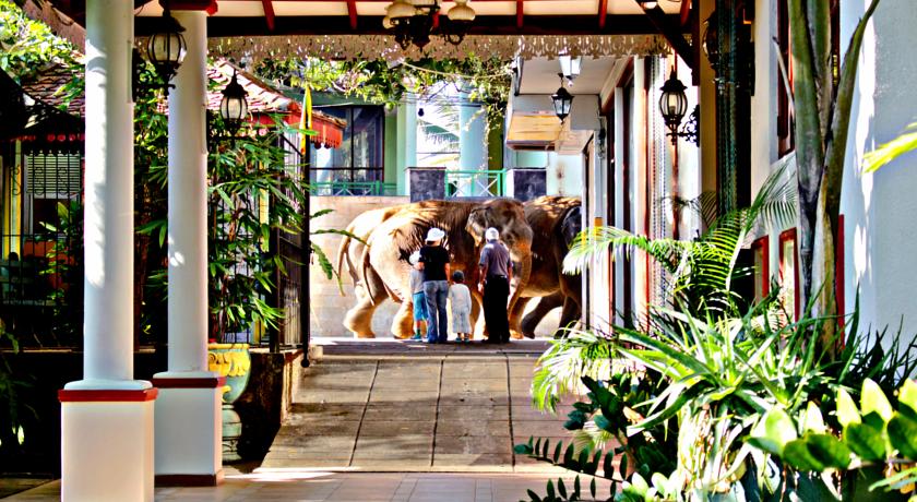 Фото 
Asteria Villa by the Sea
