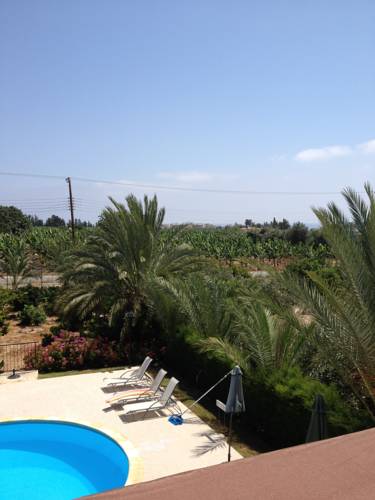 Фото 
Golden Nest
