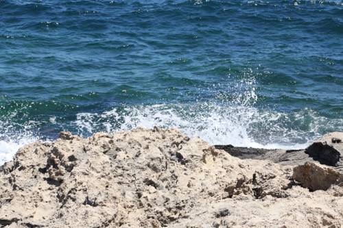 Фото 
Polis Gardens
