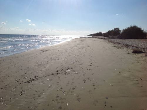 Фото 
Kallinousa Beach Villa
