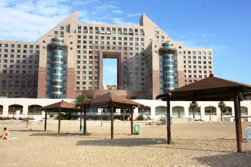 Фото 
Bait Vegan
