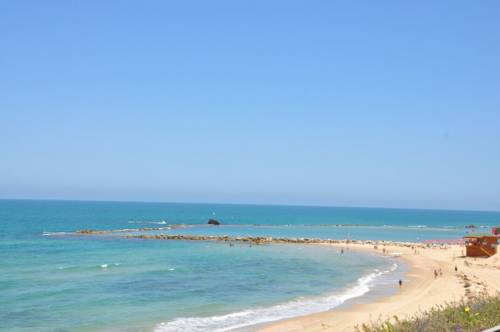 Фото 
Nitsa very high standing
