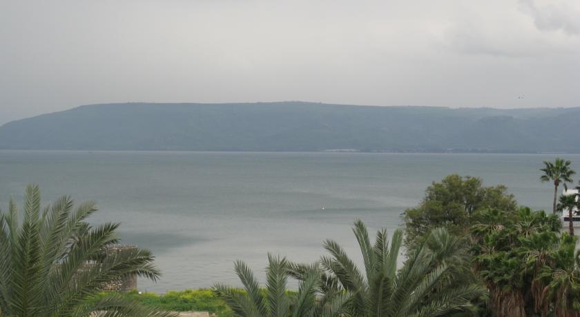 Фото 
Perl of Sea of Galilee

