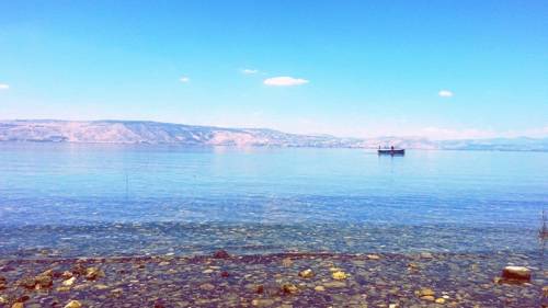 Фото 
Marina Towers Herzelia
