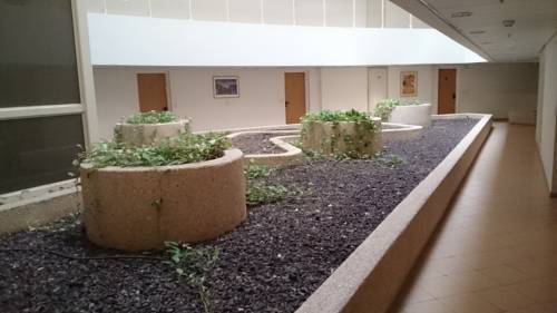 
Dead Sea Sun Guest House
