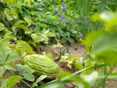 Фото 
Regina Goren Hotel
