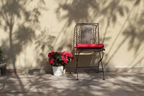 Фото 
Suite Daniela
