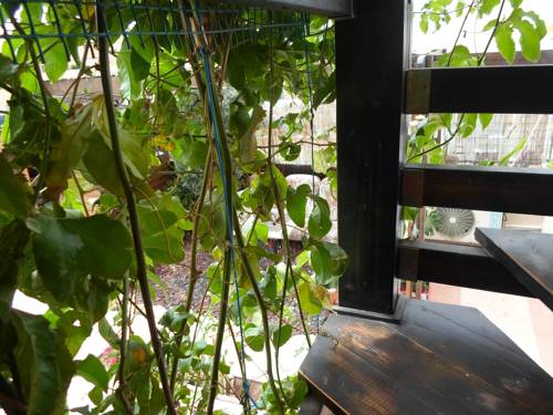 Фото 
Apartments near Beilinson II
