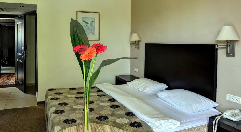 Фото 
Nzar Khoury for Hosting
