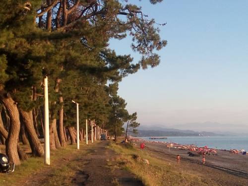 Фото 
Guest House Saba
