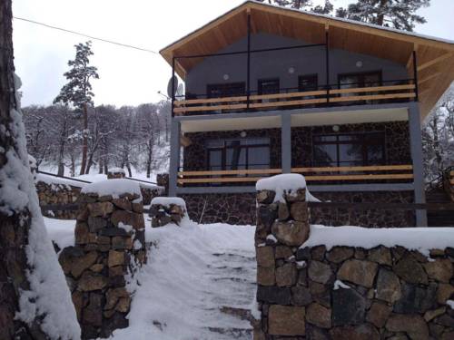 Фото 
ORBI Palace Bakuriani Apartment
