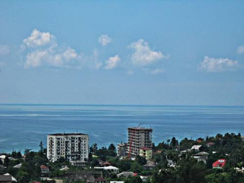 Фото 
Guest house Zorbeg
