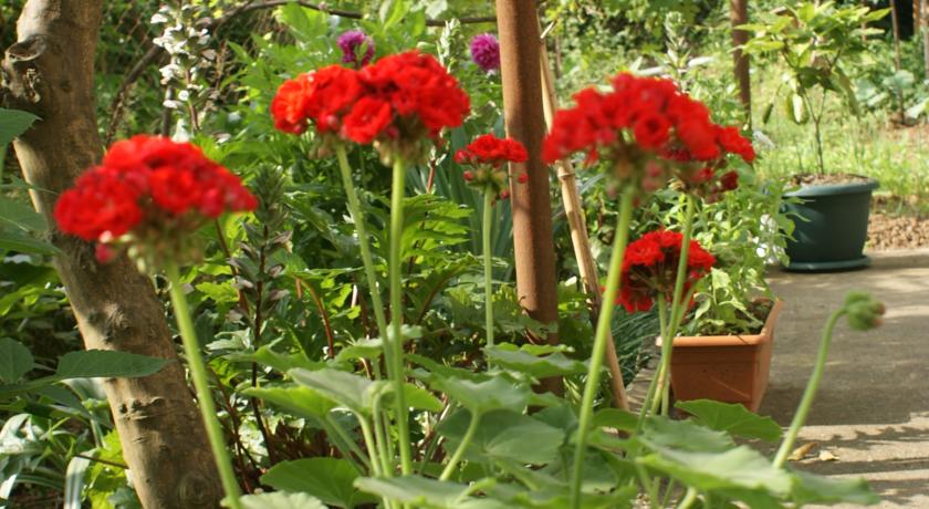 Фото 
Dito Apartment
