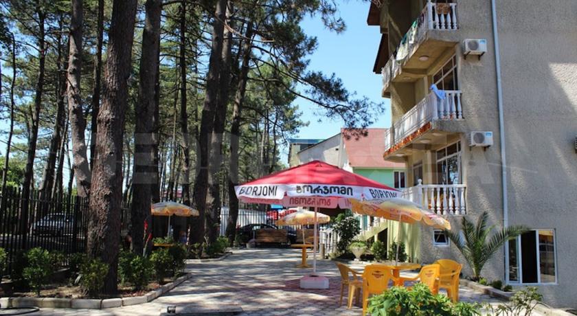 Фото 
Happy Day Signagi
