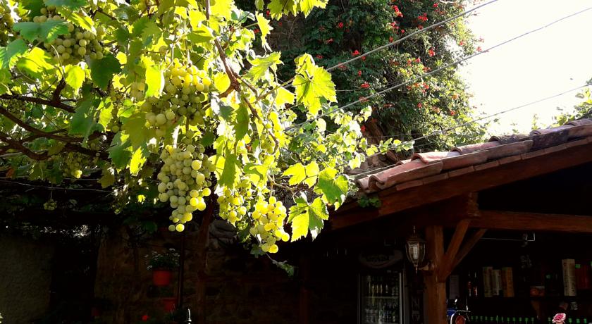 Фото 
Alazani Valley Hotel
