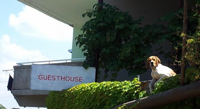 Фото 
Hotel Rcheuli Marani
