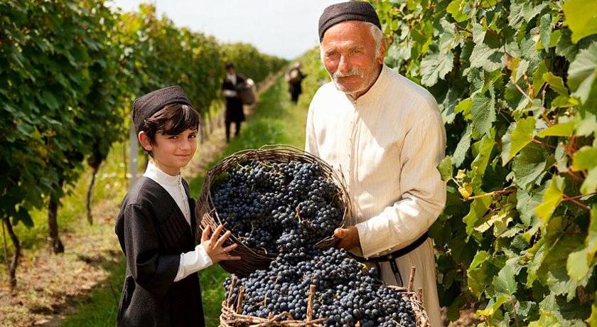 Фото 
Guest House Heart Of Telavi
