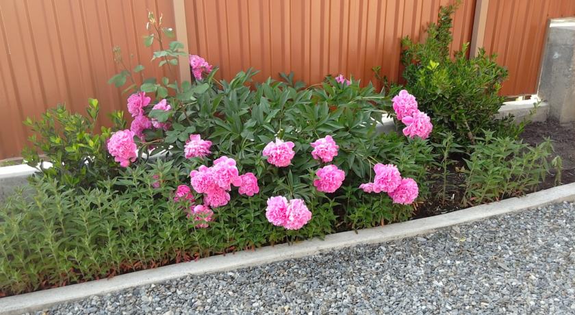 Фото 
Guest House Shuamta
