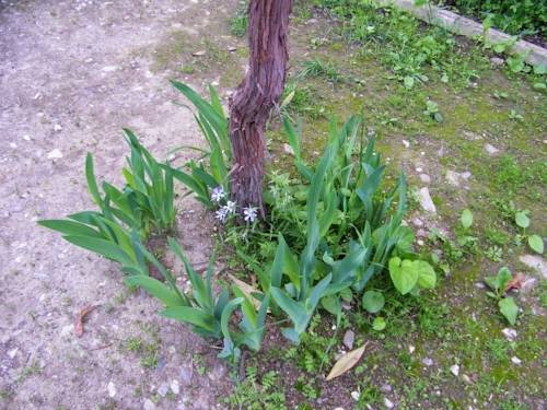 Фото 
Hotel Elene
