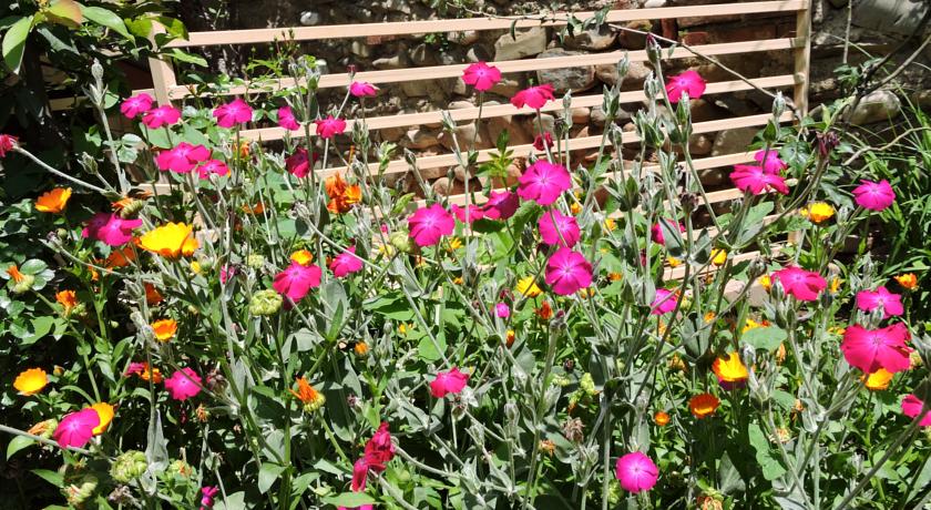 Фото 
Hotel Badu
