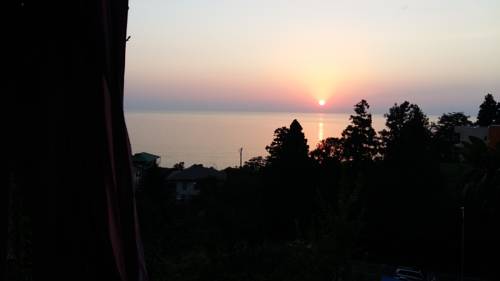 Фото 
Alfa Shekvetili
