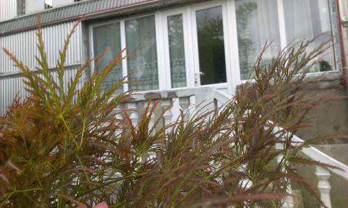 
Guest House Grigoletinskaya
