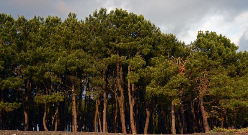 Фото 
Fiorentini Charme - My Extra Home
