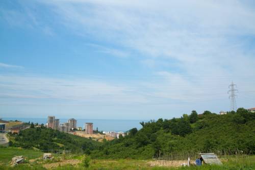 Фото 
Family Comfort
